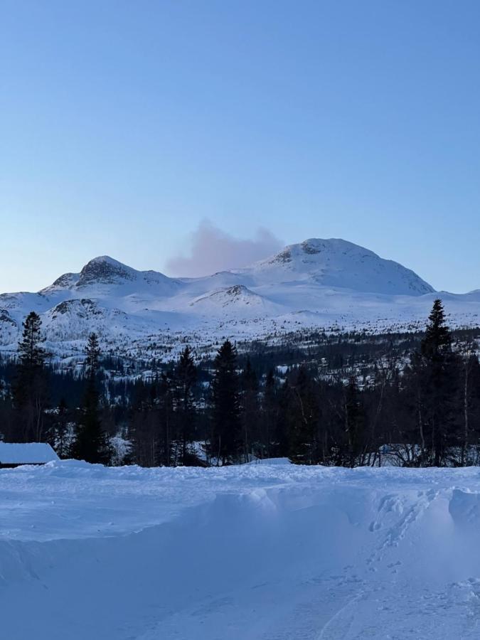 Brand New Cabin On The Sunny Side Of Gaustatoppen With A Great View Tuddal エクステリア 写真