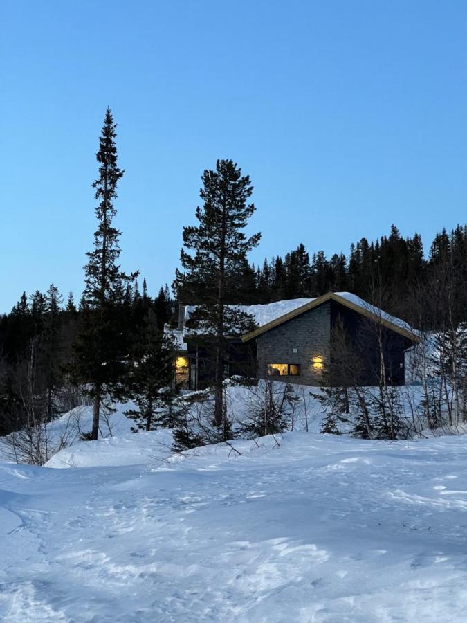 Brand New Cabin On The Sunny Side Of Gaustatoppen With A Great View Tuddal エクステリア 写真