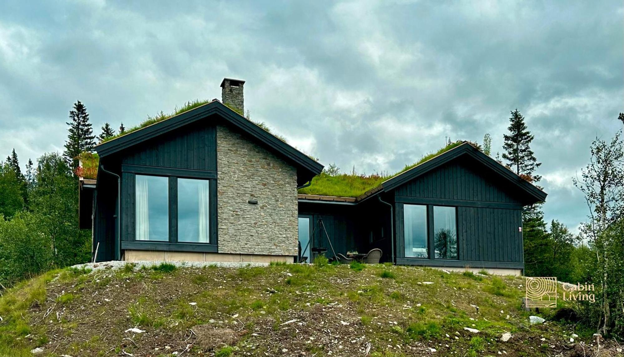 Brand New Cabin On The Sunny Side Of Gaustatoppen With A Great View Tuddal エクステリア 写真