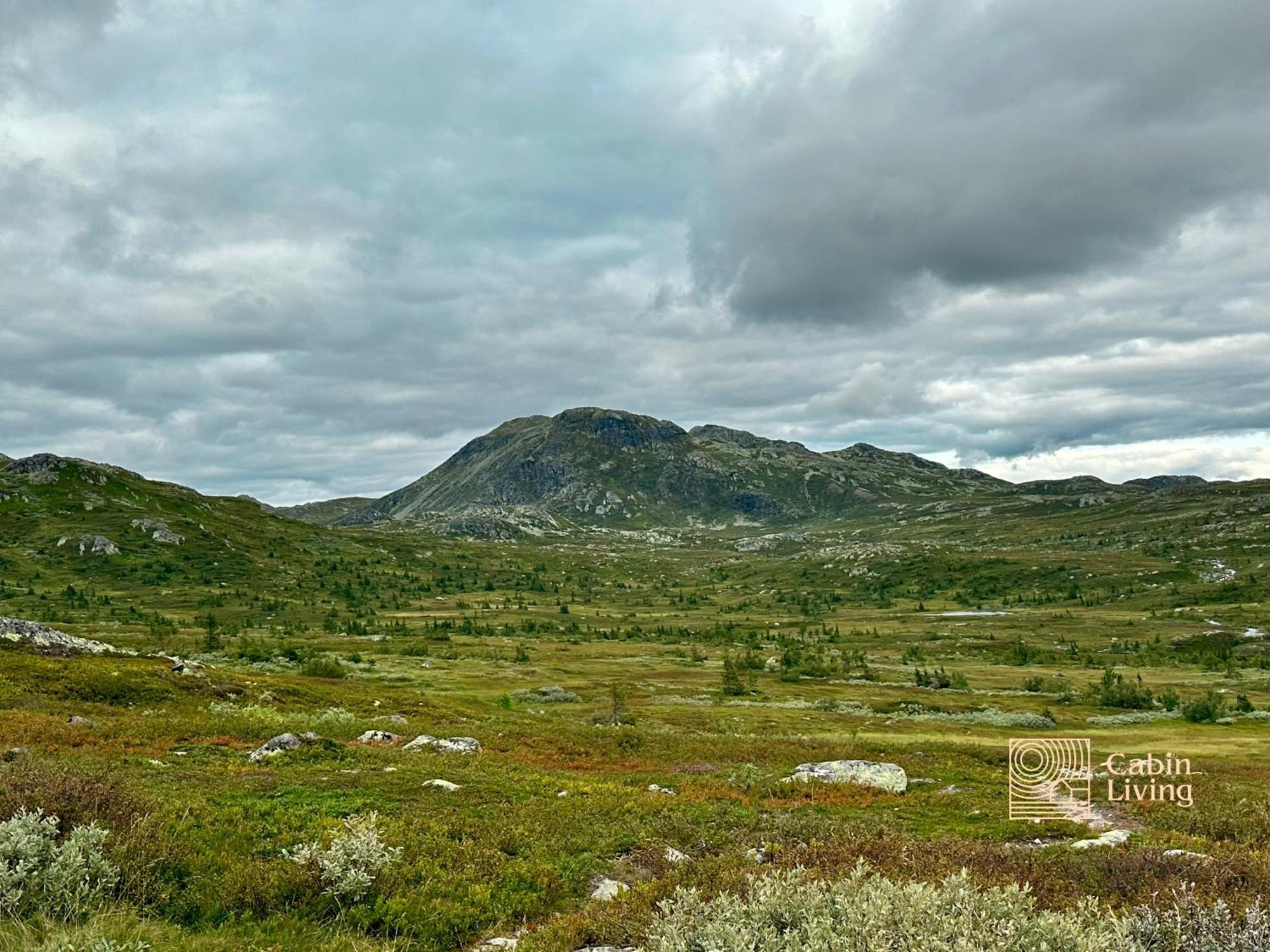 Brand New Cabin On The Sunny Side Of Gaustatoppen With A Great View Tuddal エクステリア 写真