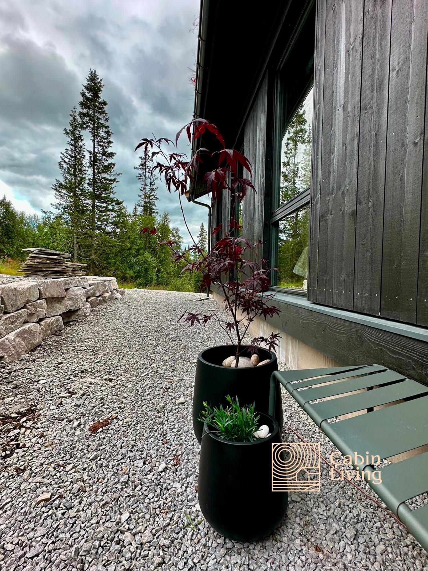 Brand New Cabin On The Sunny Side Of Gaustatoppen With A Great View Tuddal エクステリア 写真